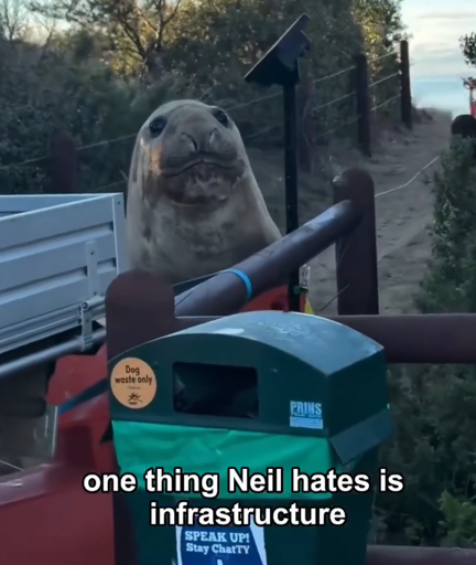 A very large seal is seen peaking his head up from behind a metal pole fence enclosing a path to a beach. The caption reads: "one thing Neil hates is infrastructure"