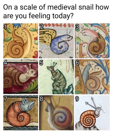 Snail scale