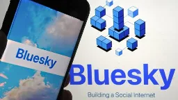 Bluesky has added 1 million users since the US election as people seek alternatives to X