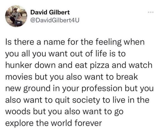 Is there a name for the feeling when you all you want out of life is to hunker down and eat pizza and watch movies but you also want to break new ground in your profession but you also want to quit society to live in the woods but you also want to go explore the world forever