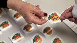 Georgia voters have more language access with multilingual ballots in this year's election