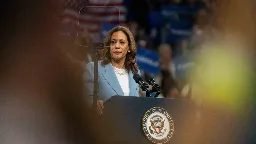 'She was going against headwinds': Shifting voter demographics in Harris vs. Trump race