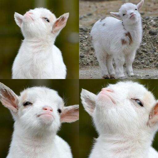 When no one believed you, but you turn out to be right