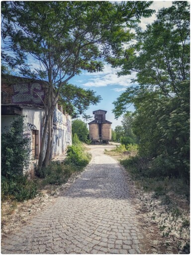The photo captures a serene, overgrown path leading to an old, abandoned industrial structure. A cobblestone trail, bordered by lush greenery and tall trees, draws the eye toward a weathered wooden tower in the distance. To the left, a dilapidated brick building features faded graffiti and creeping vines, adding a touch of urban decay to the otherwise tranquil rural scene. The sky above is clear and blue, with scattered clouds enhancing the peaceful, nostalgic atmosphere.