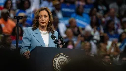 Democrats hoped Harris would rescue them. On Wednesday, she called Trump to concede