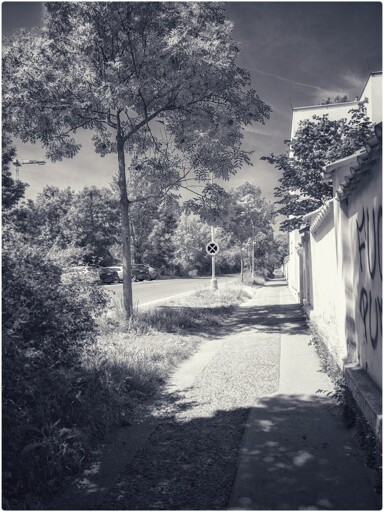 A path leads to a street with a no entry sign, a tree on the left, and a graffiti building on the right.